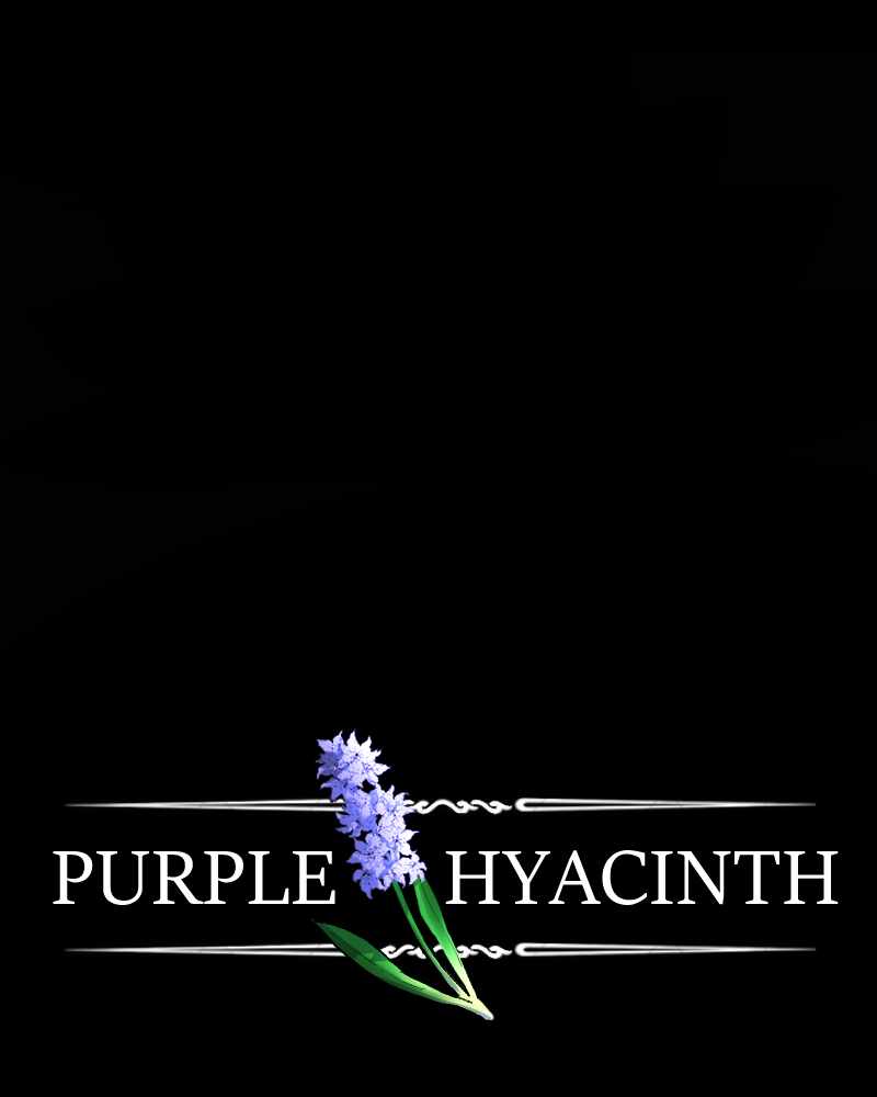 Purple Hyacinth Chapter 98 8